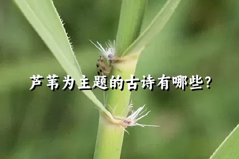 芦苇为主题的古诗有哪些？