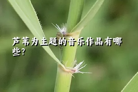 芦苇为主题的音乐作品有哪些？