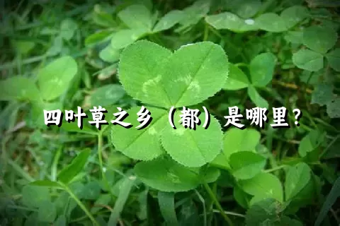 四叶草之乡（都）是哪里？