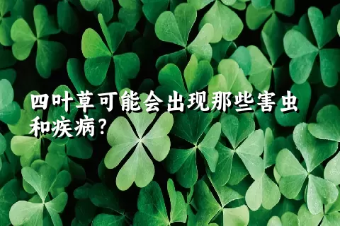 四叶草可能会出现那些害虫和疾病？