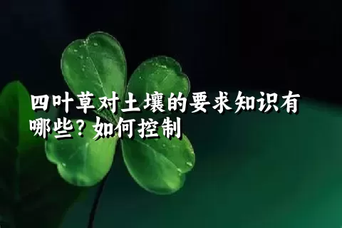 四叶草对土壤的要求知识有哪些？如何控制