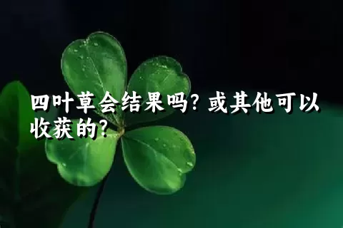 四叶草会结果吗？或其他可以收获的？