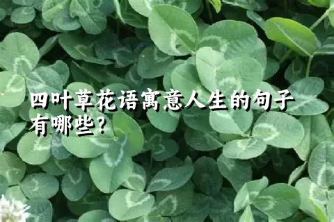 四叶草花语寓意人生的句子有哪些？