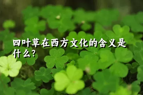 四叶草在西方文化的含义是什么？