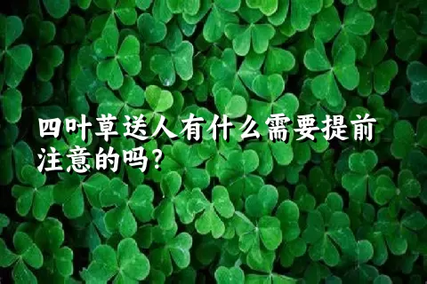 四叶草送人有什么需要提前注意的吗？