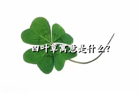 四叶草寓意是什么？