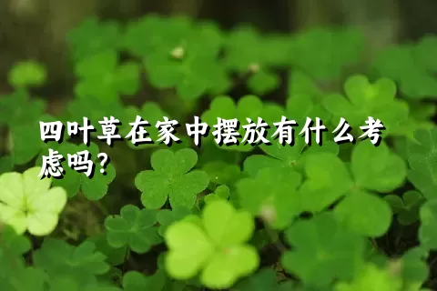 四叶草在家中摆放有什么考虑吗？