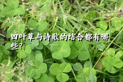 四叶草与诗歌的结合都有哪些？