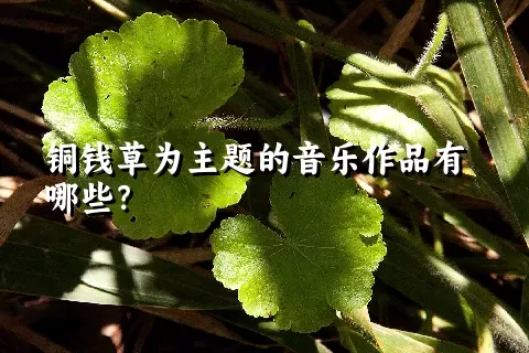 铜钱草为主题的音乐作品有哪些？