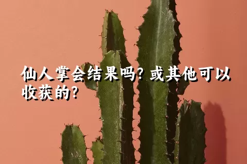 仙人掌会结果吗？或其他可以收获的？