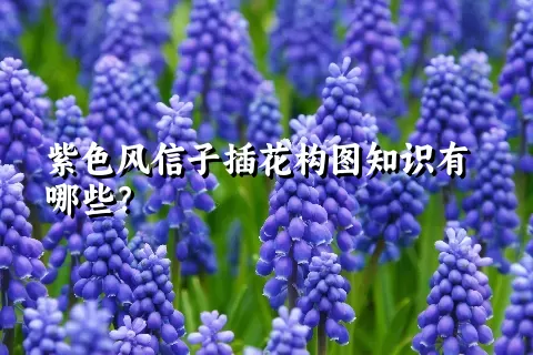 紫色风信子插花构图知识有哪些？