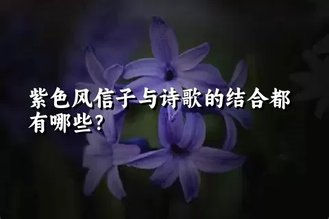 紫色风信子与诗歌的结合都有哪些？