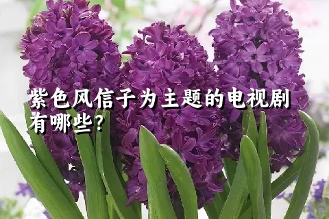 紫色风信子为主题的电视剧有哪些？