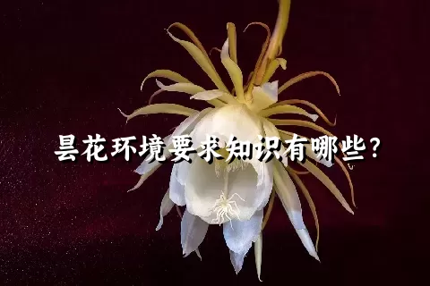 昙花环境要求知识有哪些？