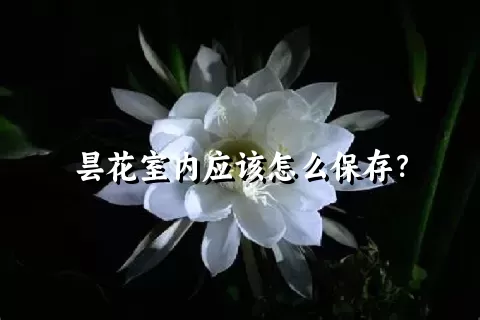 昙花室内应该怎么保存？