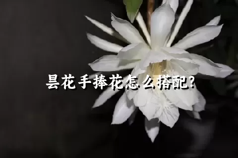 昙花手捧花怎么搭配？