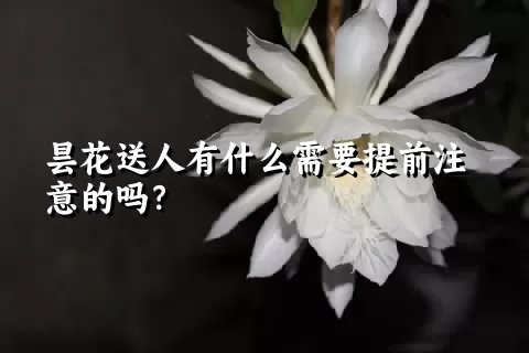 昙花送人有什么需要提前注意的吗？