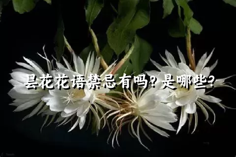 昙花花语禁忌有吗？是哪些？