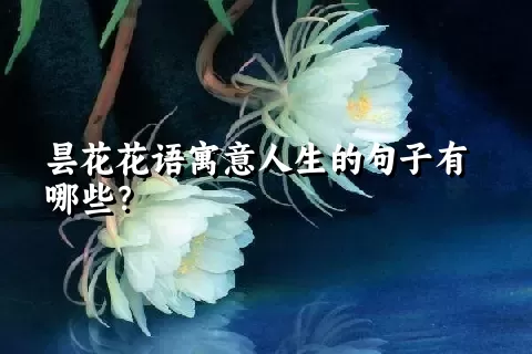 昙花花语寓意人生的句子有哪些？