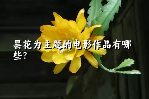 昙花为主题的电影作品有哪些？