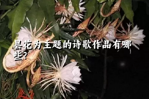 昙花为主题的诗歌作品有哪些？