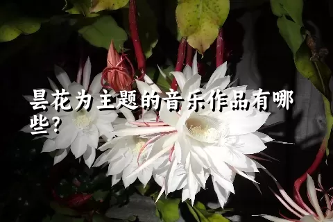 昙花为主题的音乐作品有哪些？