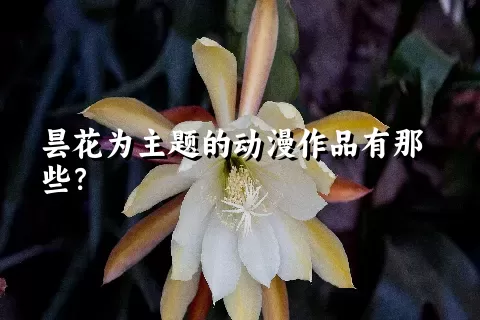 昙花为主题的动漫作品有那些？