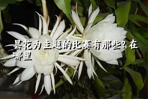 昙花为主题的比赛有那些？在哪里