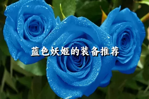 蓝色妖姬的装备推荐