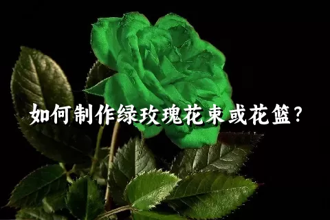 如何制作绿玫瑰花束或花篮？