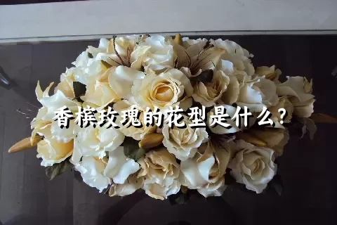 香槟玫瑰的花型是什么？