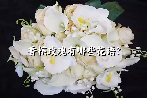 香槟玫瑰有哪些花语？