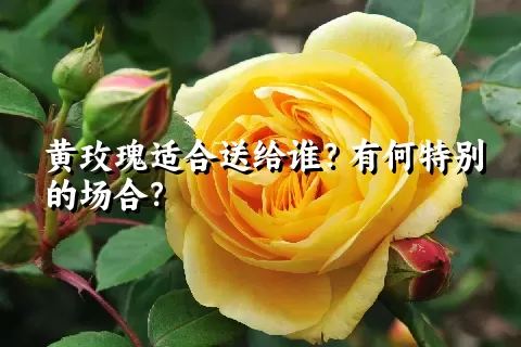 黄玫瑰适合送给谁？有何特别的场合？