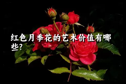 红色月季花的艺术价值有哪些?