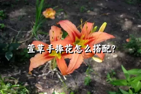 萱草手捧花怎么搭配？