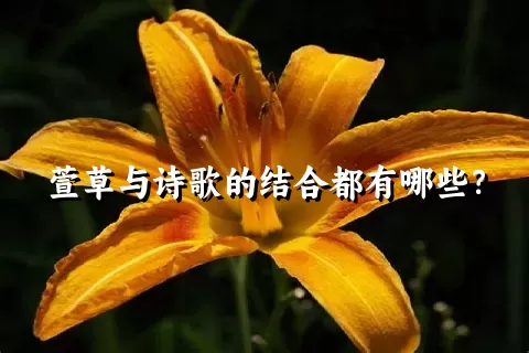 萱草与诗歌的结合都有哪些？