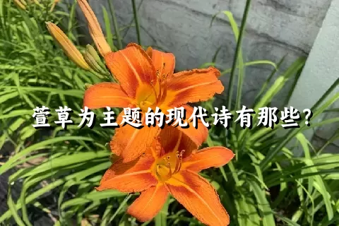 萱草为主题的现代诗有那些？