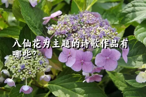 八仙花为主题的诗歌作品有哪些？