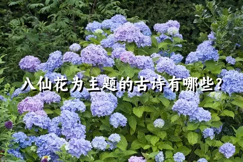 八仙花为主题的古诗有哪些？