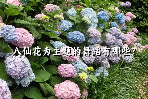 八仙花为主题的舞蹈有哪些？