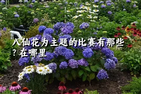 八仙花为主题的比赛有那些？在哪里