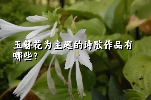 玉簪花为主题的诗歌作品有哪些？