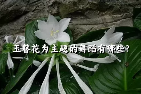 玉簪花为主题的舞蹈有哪些？