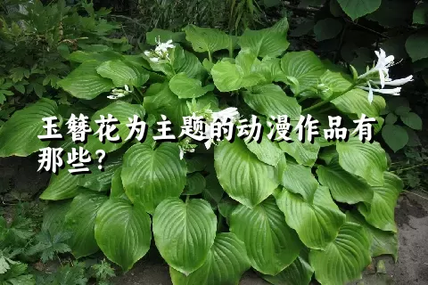 玉簪花为主题的动漫作品有那些？