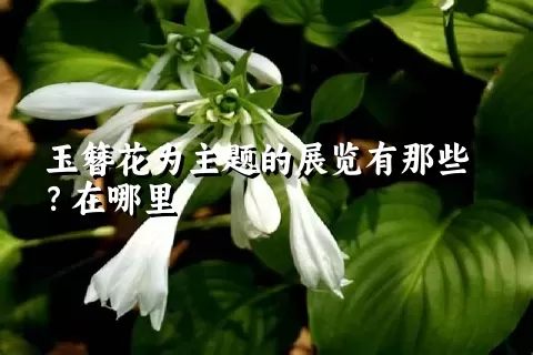 玉簪花为主题的展览有那些？在哪里