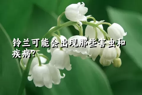 铃兰可能会出现那些害虫和疾病？