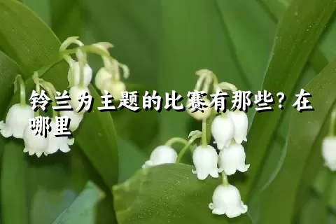 铃兰为主题的比赛有那些？在哪里