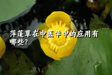 萍蓬草在中医学中的应用有哪些？