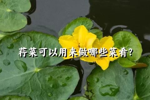 荇菜可以用来做哪些菜肴？