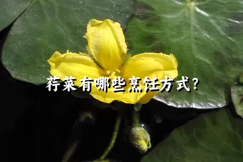 荇菜有哪些烹饪方式？